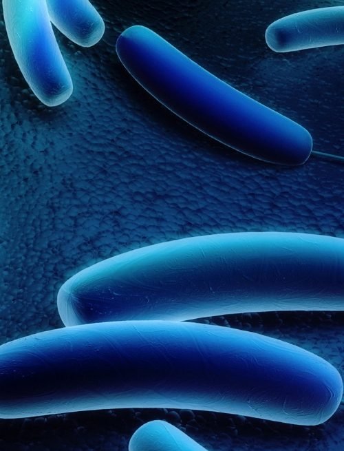 Tratamientos contra la legionella en Cantabria | Bactenor